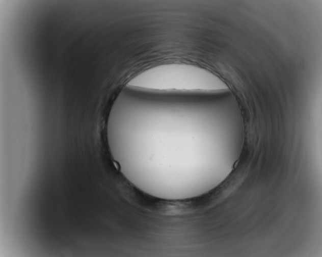 X0000100320229200806051356