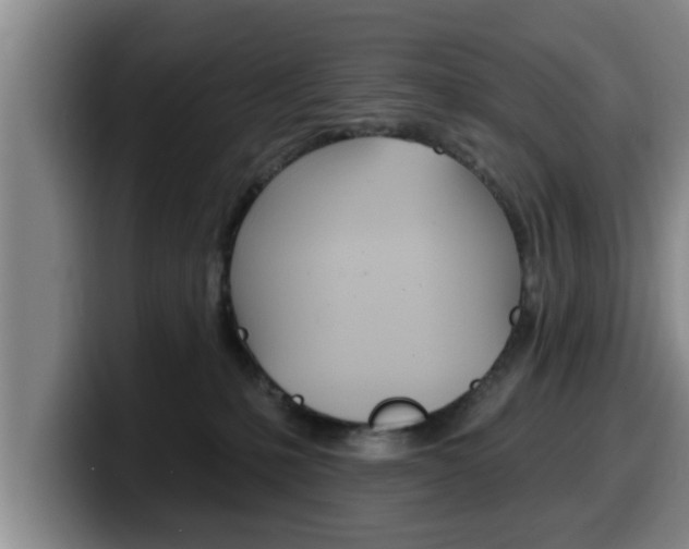 X0000100320231200806051356