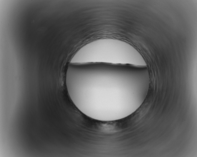 X0000100320232200806051356
