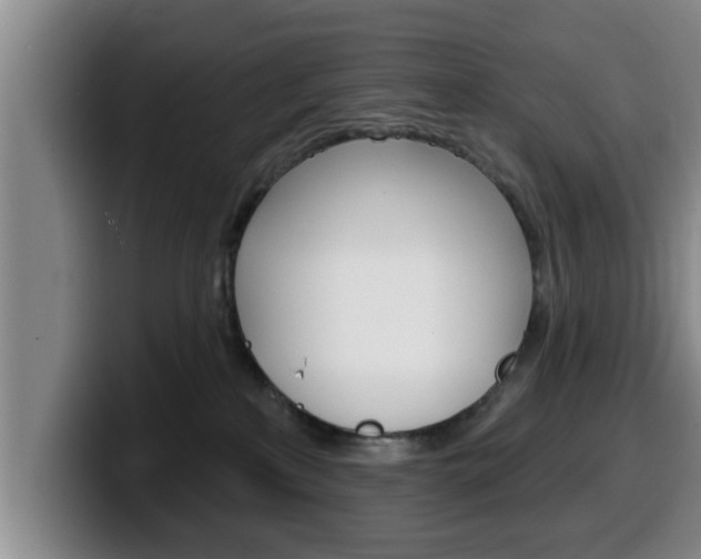 X0000100320233200806051356