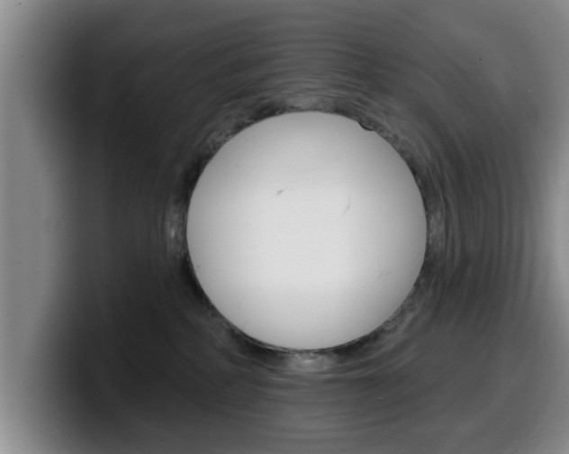X0000100320234200806051356