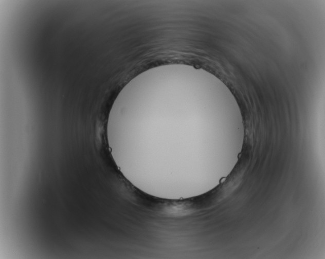 X0000100320235200806051356