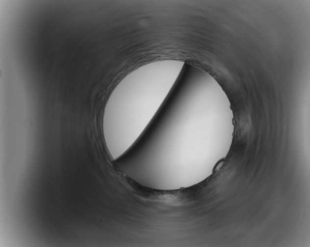 X0000100320236200806051356