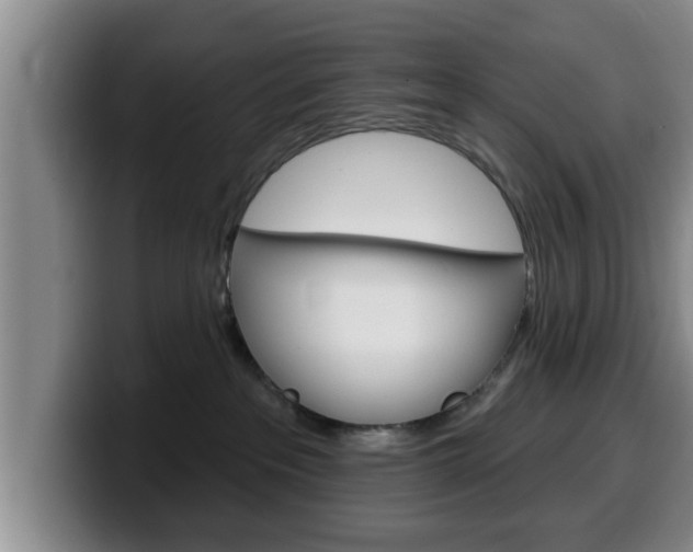 X0000100320237200806051356