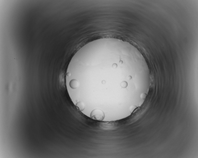 X0000100320238200806051356