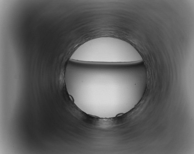 X0000100320240200806051356