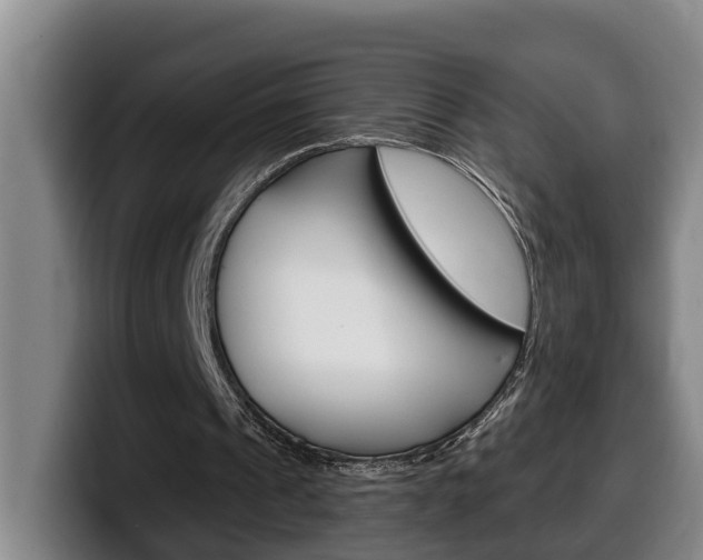 X0000100320241200806051356
