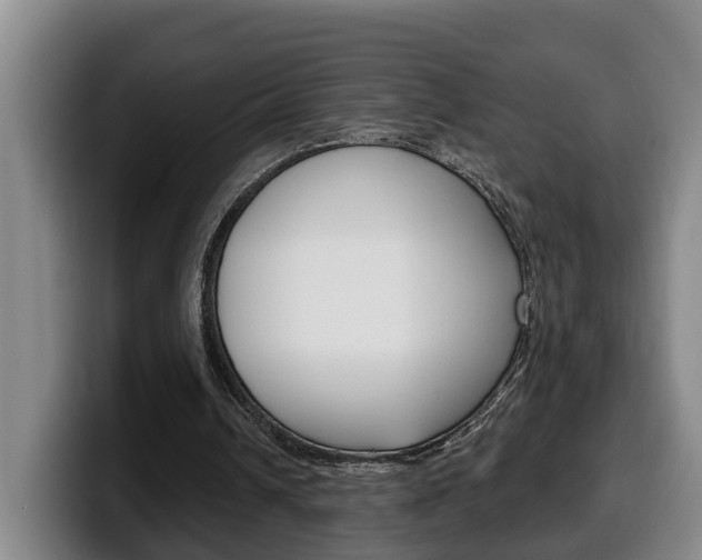 X0000100320242200806051356
