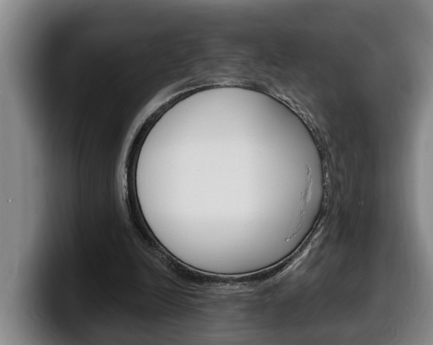 X0000100320246200806051356