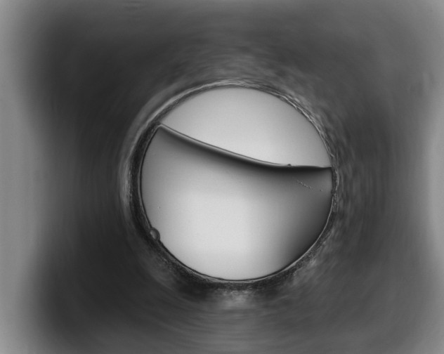 X0000100320247200806051356