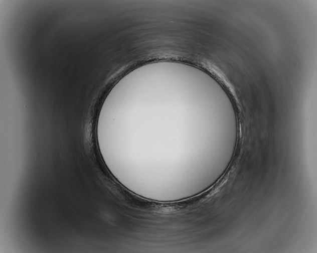 X0000100320249200806051356