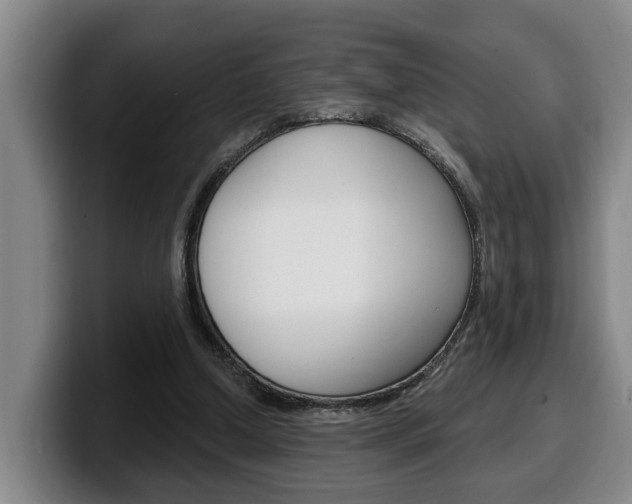 X0000100320250200806051356