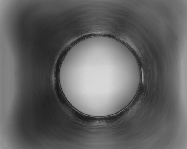 X0000100320252200806051356