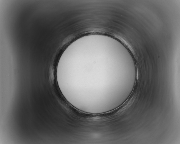 X0000100320253200806051356