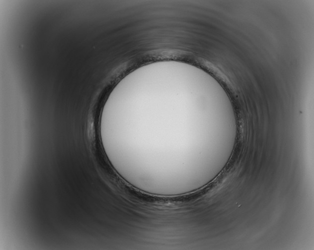 X0000100320254200806051356