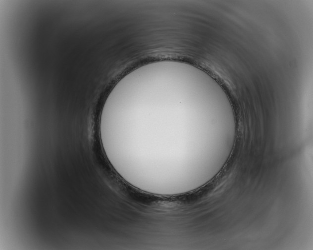 X0000100320255200806051356