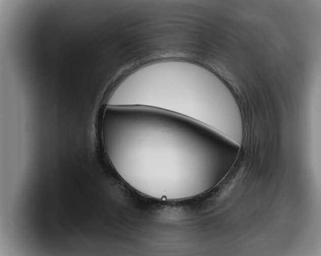 X0000100320256200806051356