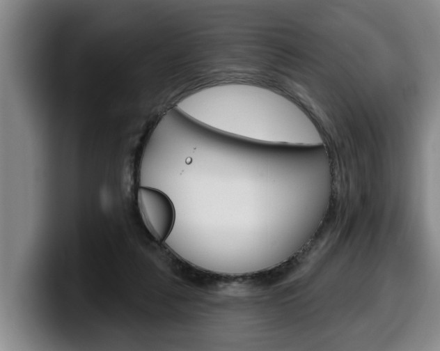 X0000100320259200806051356