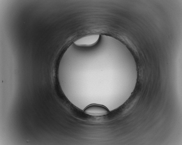 X0000100320260200806051356