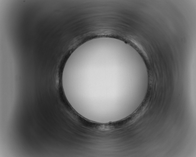 X0000100320261200806051356