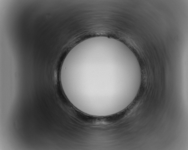 X0000100320262200806051356