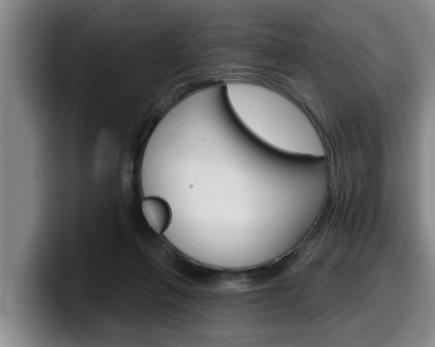 X0000100320263200806051356