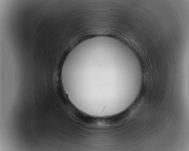X0000100320264200806051356