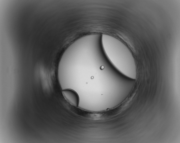 X0000100320265200806051356