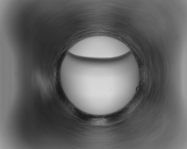 X0000100320266200806051356