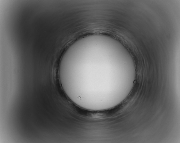 X0000100320268200806051356