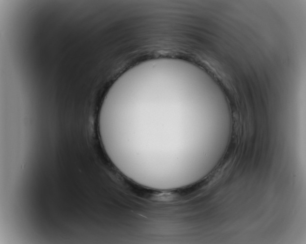 X0000100320269200806051356
