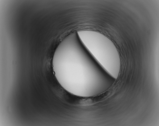 X0000100320271200806051356