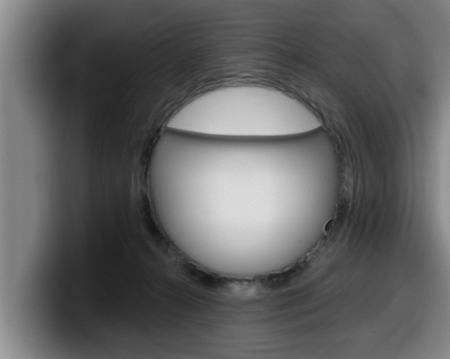 X0000100320272200806051356