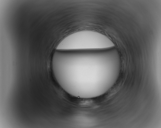 X0000100320274200806051356