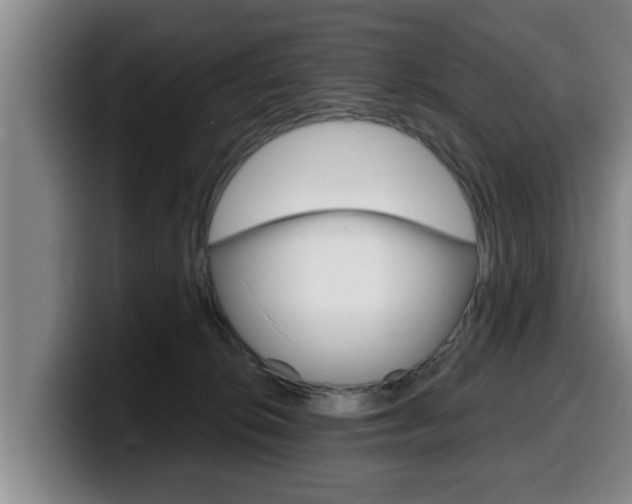 X0000100320276200806051356