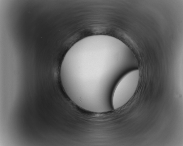 X0000100320277200806051356