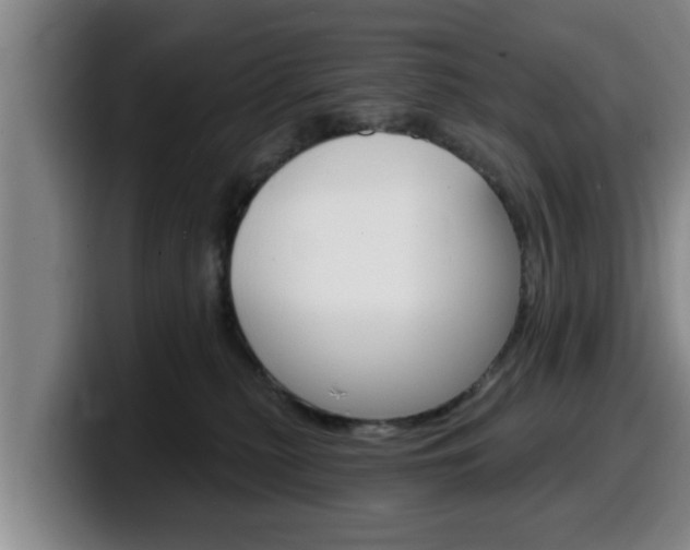 X0000100320279200806051356