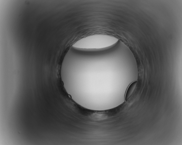 X0000100320280200806051356