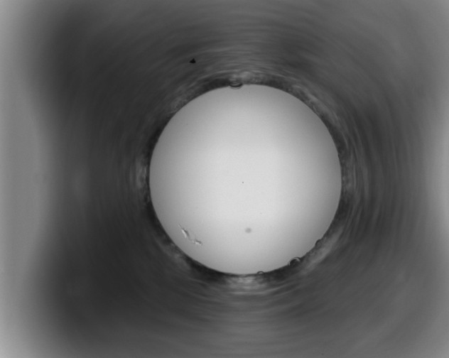 X0000100320281200806051356