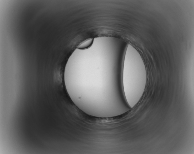 X0000100320282200806051356