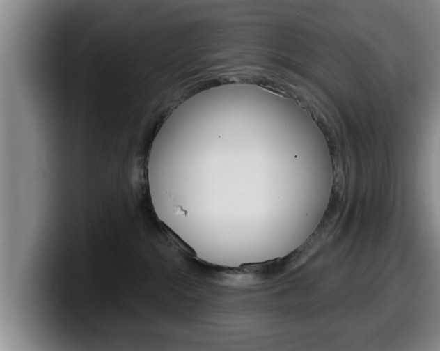 X0000100320284200806051356