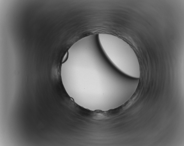 X0000100320285200806051356