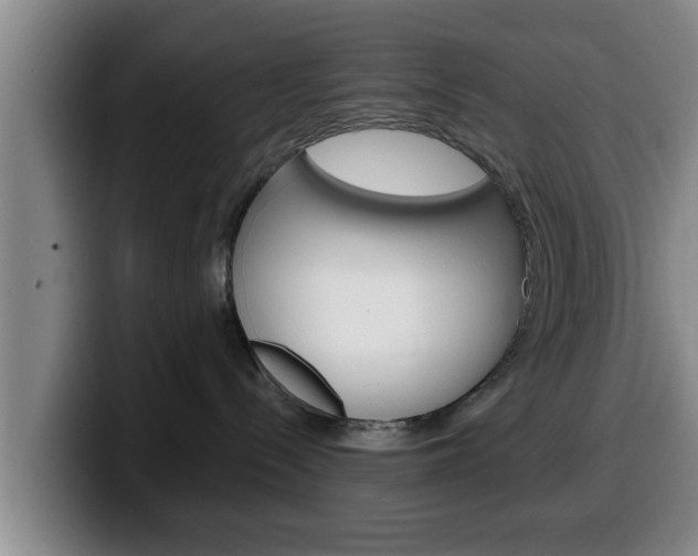 X0000100320288200806051356