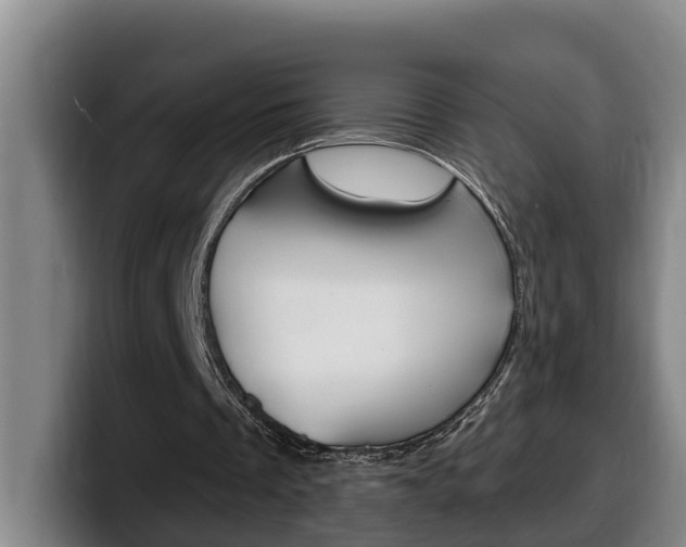 X0000100320289200806051356