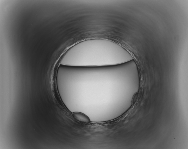 X0000100320290200806051356