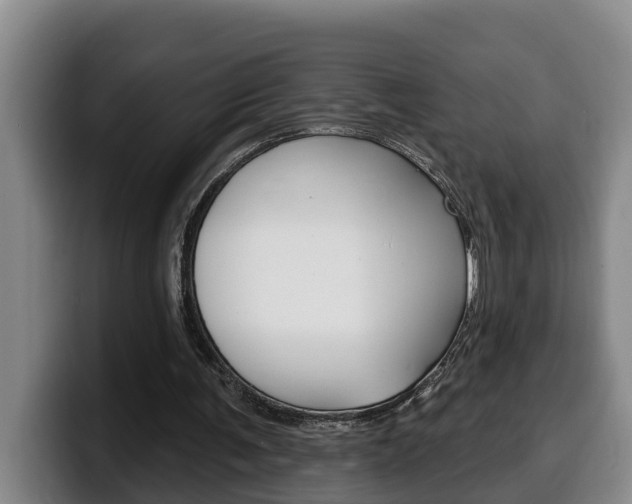 X0000100320291200806051356
