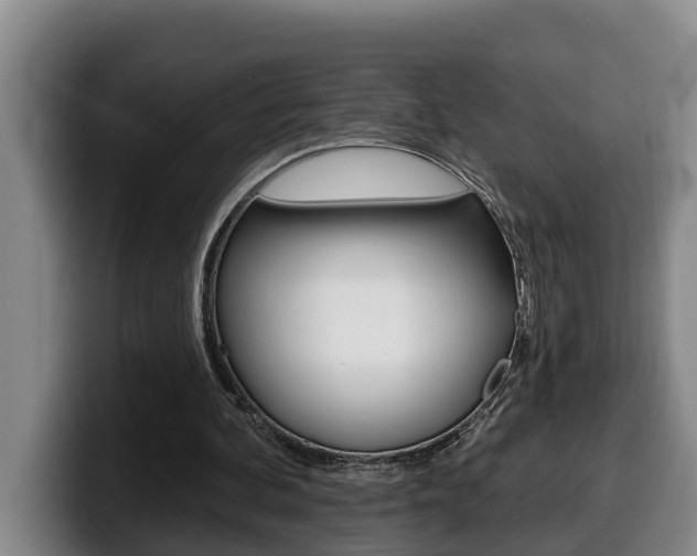 X0000100320292200806051356