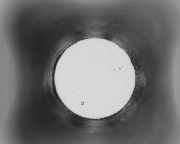 X0000100320293200806051356