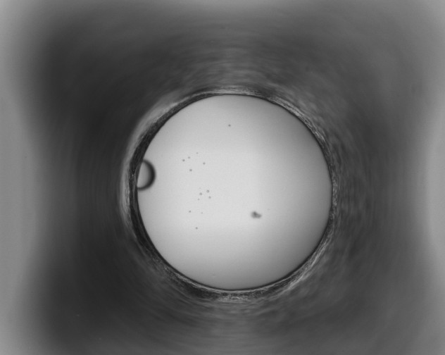 X0000100320294200806051356
