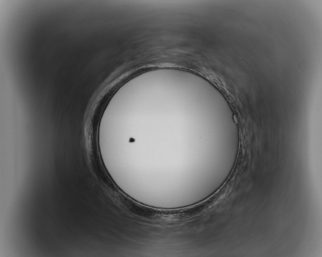 X0000100320295200806051356